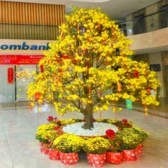 Cho Thuê Mai Tết 2026